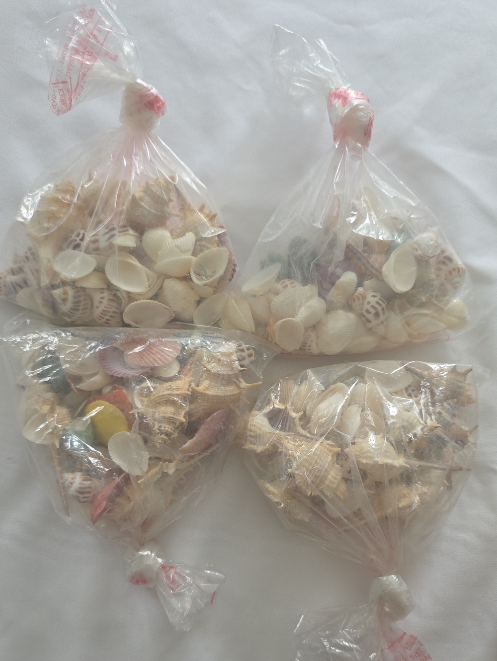 Mixed Natural Seashell Grab Bags - Assorted Neutral & Pastel Tones